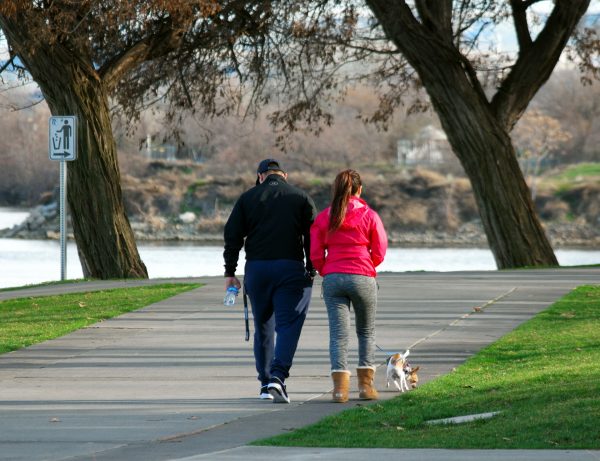 walking-dog-gccc9ab3b4_1920